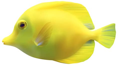 transparent tropical fish.
